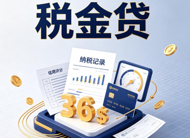 杭州余杭区企业税贷|杭州余杭区企业设备回租|杭州余杭区税贷过桥